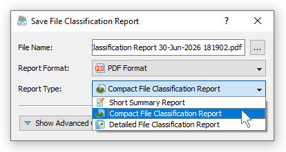 DiskBoss File Classification Save PDF Report