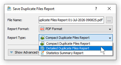 DiskBoss Duplicate Files Save PDF Report