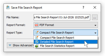 DiskBoss File Search Save PDF Report